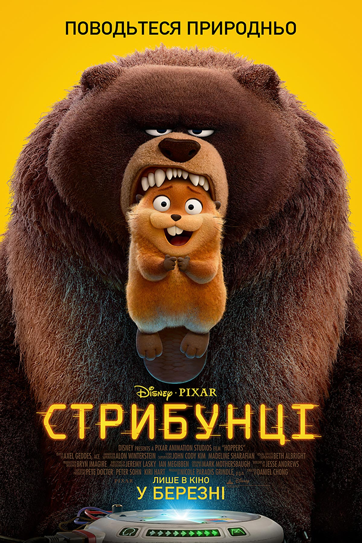 Стрибунці